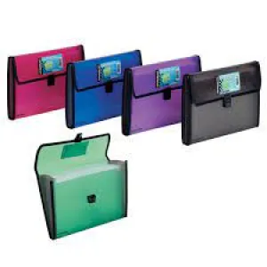 Foldermate Expanding File 12 pockets Assorted colors